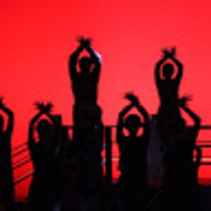 Meet your Posher, Rosa